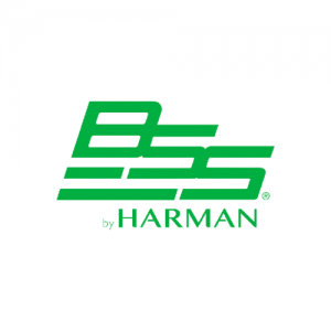 BSS